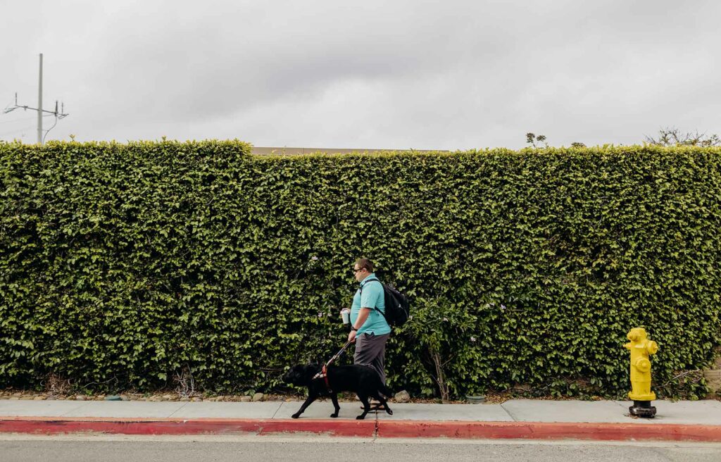 Kelvin Crosby walking down the street with his guide dog.