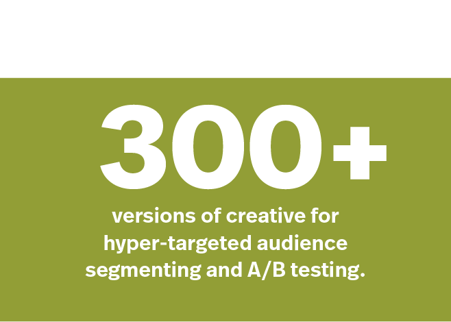 300+ versions of creative for hyper-targeted audience segmenting and A/B testing.