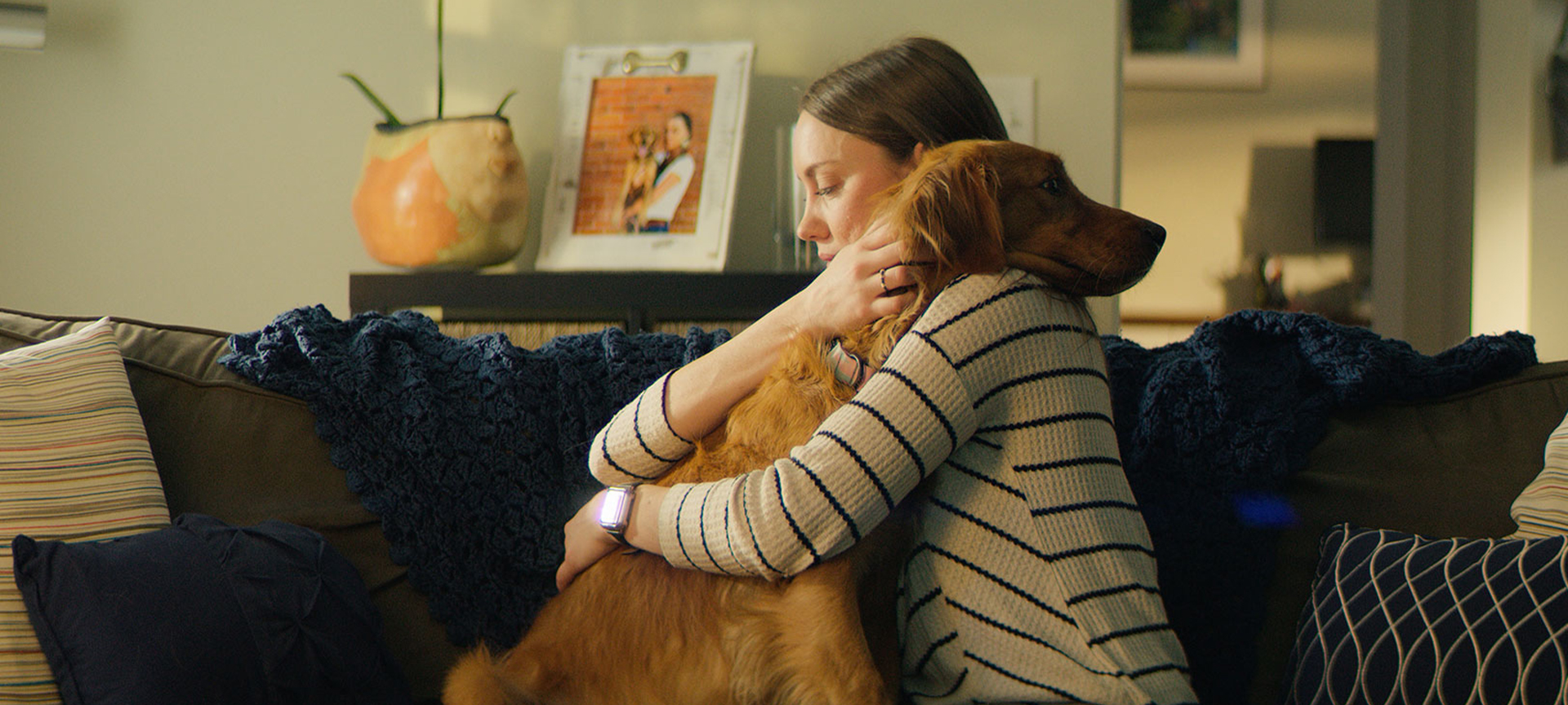 Dog Casting Call 2023 Stoltz Marketing Group